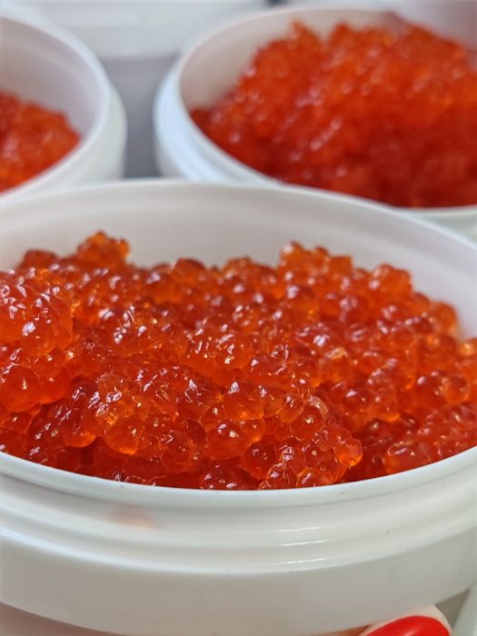 Икра 4 вида цена производителя.