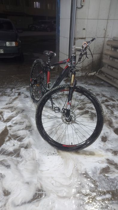 Велик  очень хорощи