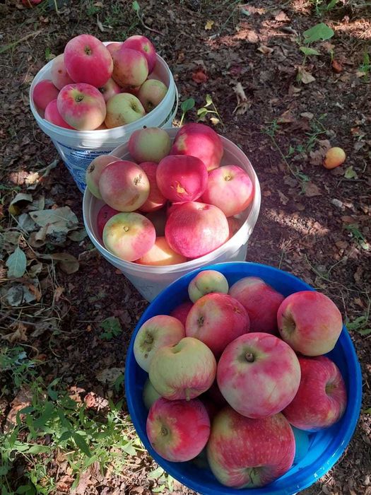 Продам дачу на Айгуле