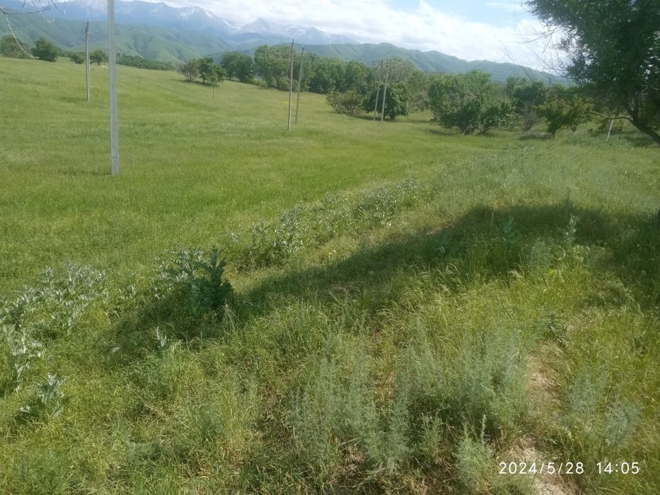 Продам участок, варианты обмена.