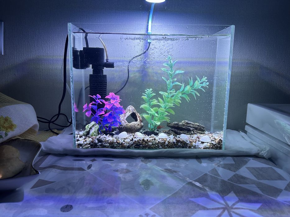 продам аквариум