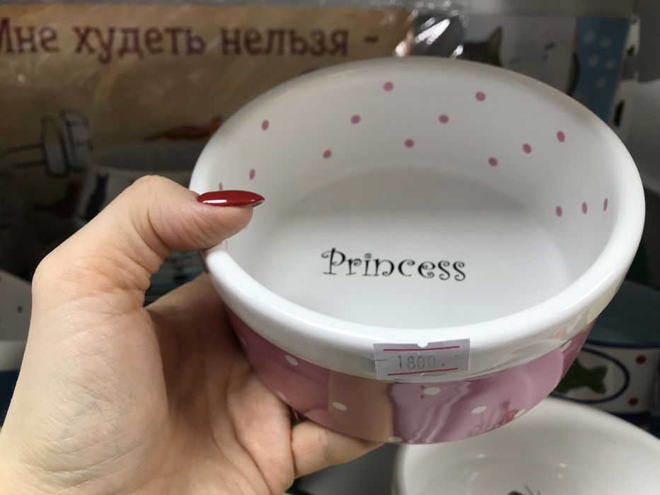 Керамическая миска для кошек! Веселые мордашки!