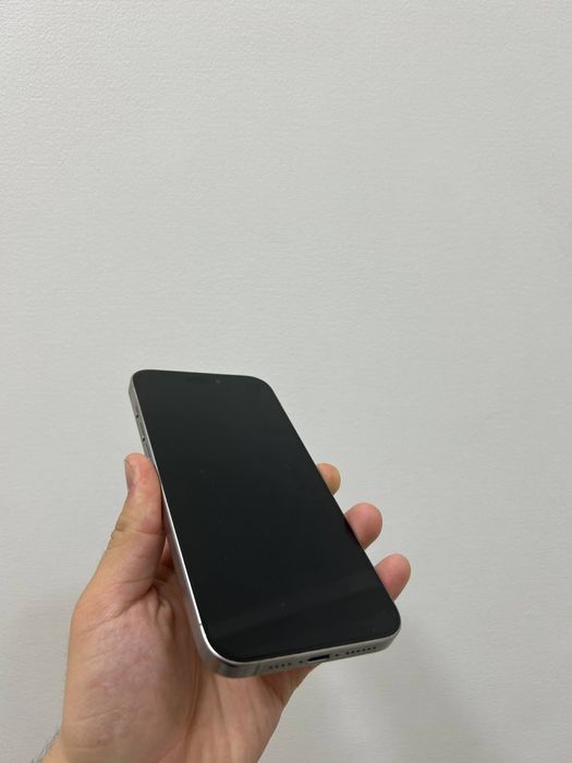 Iphone 15 Pro Max, silver 256