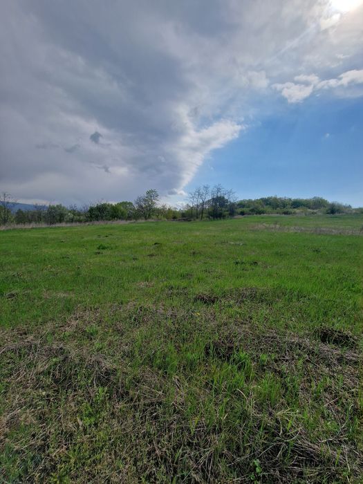 Vând teren Chicerea Tomesti