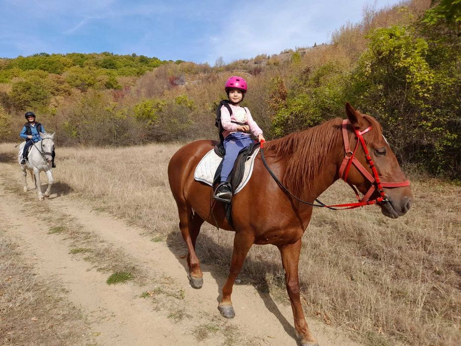 cursuri echitatie, plimbari calare in natura la 10 km de Buzau