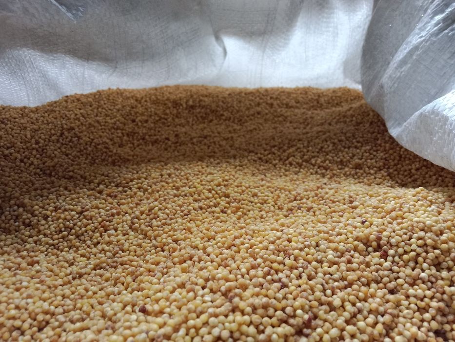 Тары жарма 250тг кебек