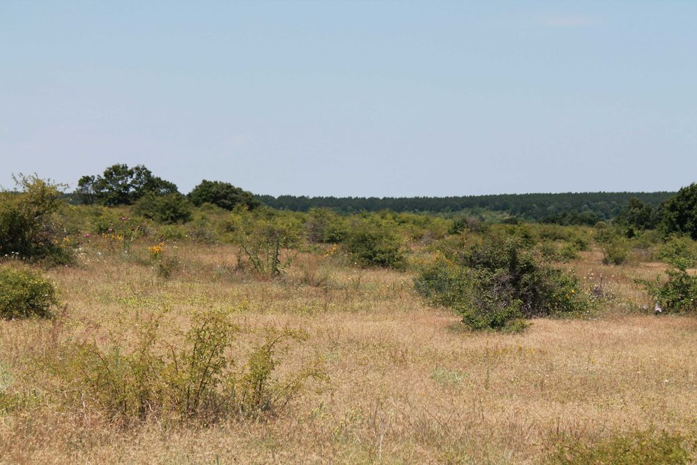 Продава се Парцел в с. Генерал Кантарджиево, Област Варна - 10118 кв.м за 10 €/кв.м - Снимка #3