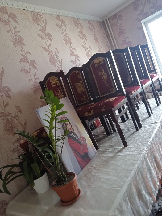 Качествасы өте керемет!