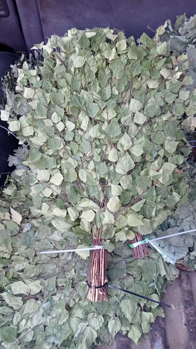 Продам банные веники