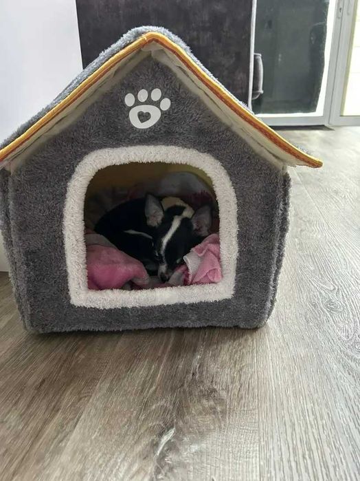 Уютна къща за кучета, котки и други домашни любимци