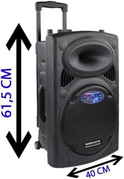 DYNASONIC Dynapro 12 Преносима активна тонколона