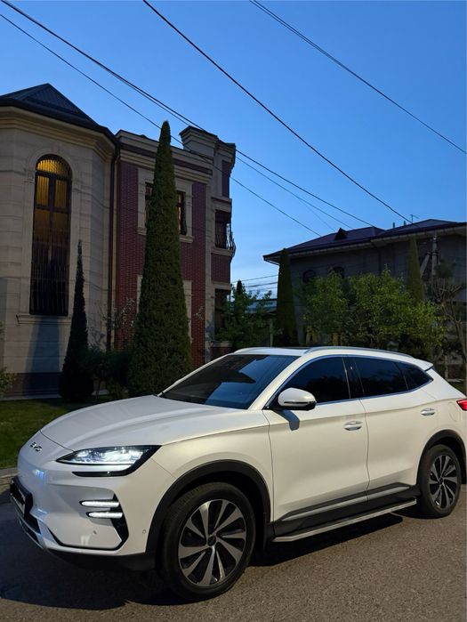 BYD Champion Honnor Infinity kalonka 2024