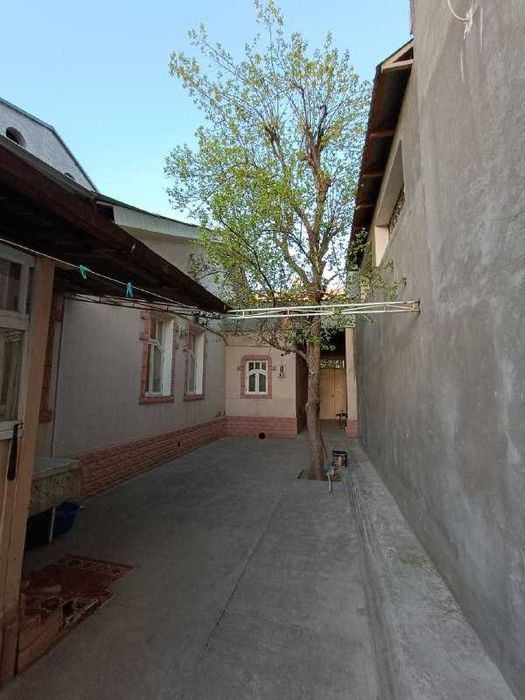 Беларык махалля за домами 77-серии 3сот 10х30 Огород 10х15 под Паркинг