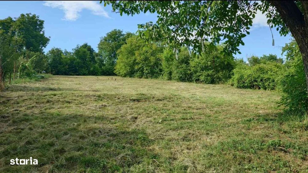 Teren Platou Cornești,StrNegoiului,2.036mp,cu toate utilitățile și PUZ