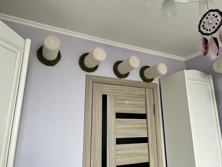 Когтеточки жердочки