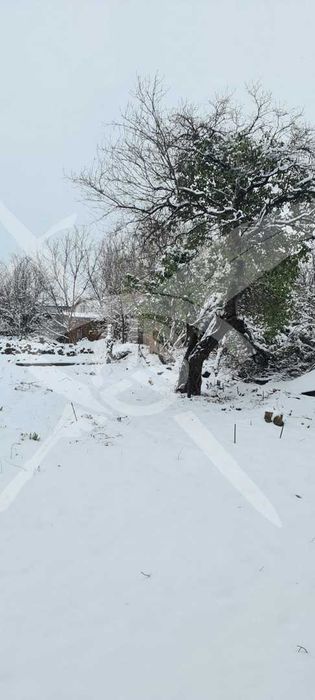 Къща в село Чепинци № 100899