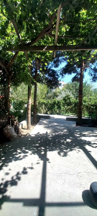 5-комнатная квартира в Центре, Пиридастгир