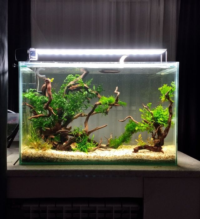 Аквариум 150 литров