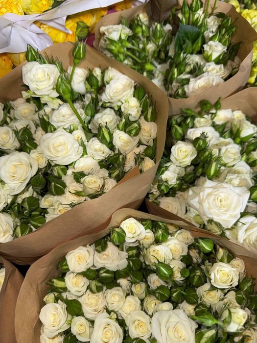 Кустовые розы свежая поставка!