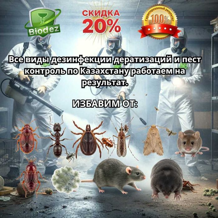 Дезинфекция и Обработка клопов блох крыс таракан комаров клещей АКЦИЯ!