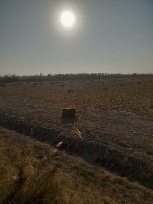 Макка прес сотилади