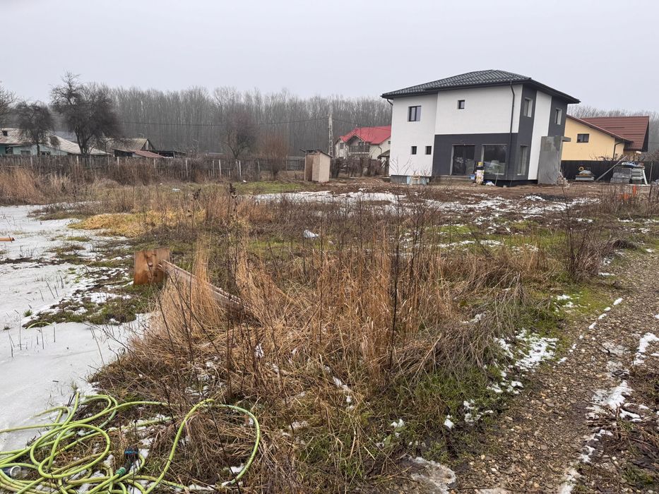 Ciolpani: teren intravilan 500 mp intre padure si DN - zona de case