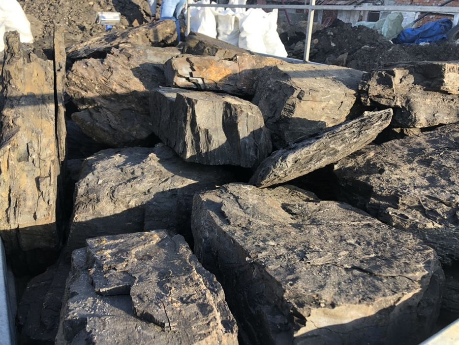 Carbuni pentru foc sortati fără praf sau pământ super oferta