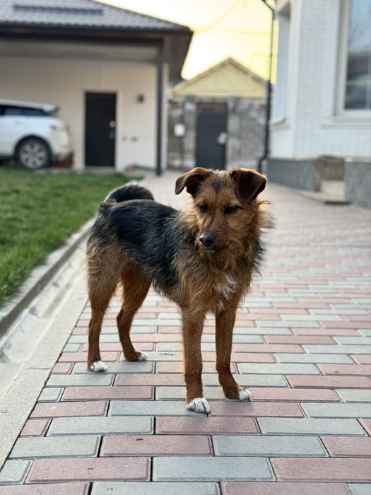 Девочка Евочка ищет любящую семью