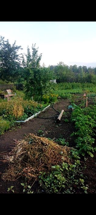 Продам участок земли с домиком