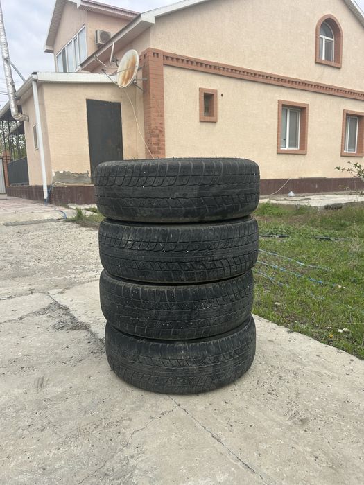 Зимний липучка r15