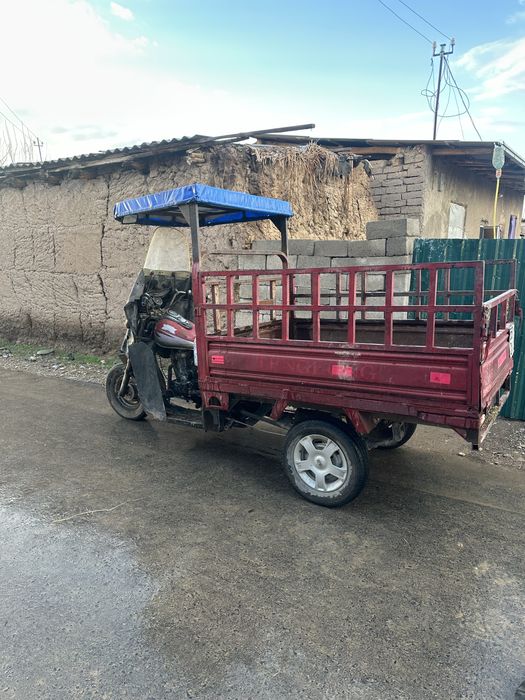 Muravi sotladi yili 2014