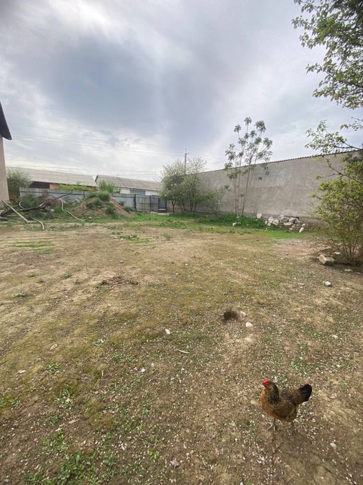 Yer sotiladi Manzil Toshkent viloyati Bekobod tumanida