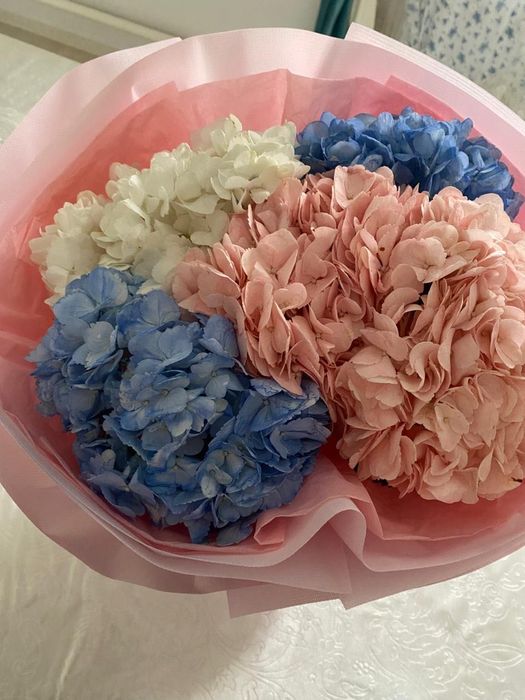 Цветы гортензия 5 шт