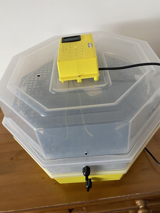 Incubator Cleo 5x2