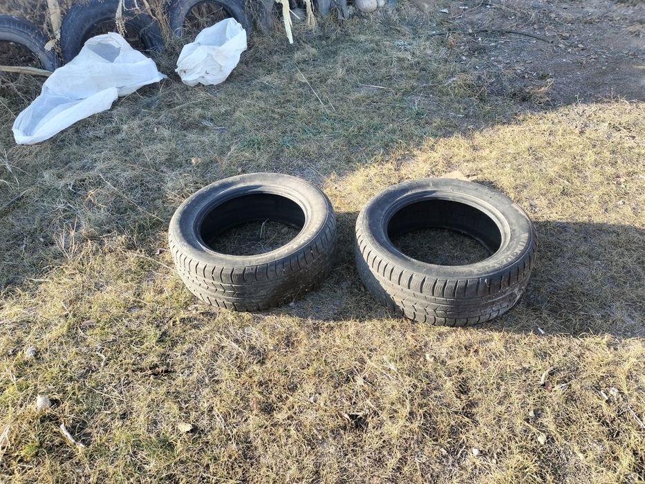 қолданған екі қыстық балон