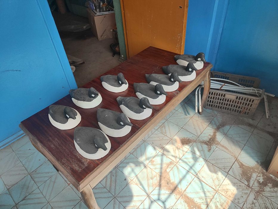 Продам чучела гогля,капканы