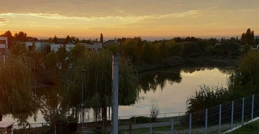 Casa cu vedere la lac in Chitia Ilfov Chitila • OLX.ro
