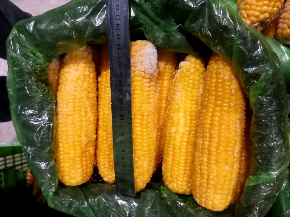 Замороженная  Сладкая кукуруза сорт мегатон