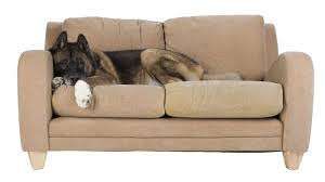 Химчистка выездная