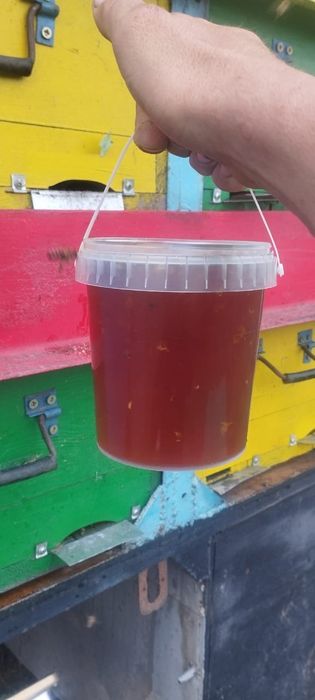 Свежий, натуральный мёд 2025 года