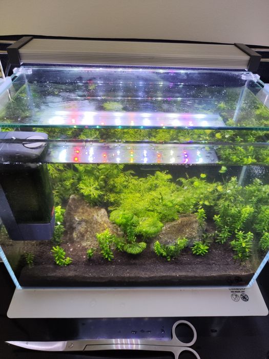 Acvariu Strideways sado 36p