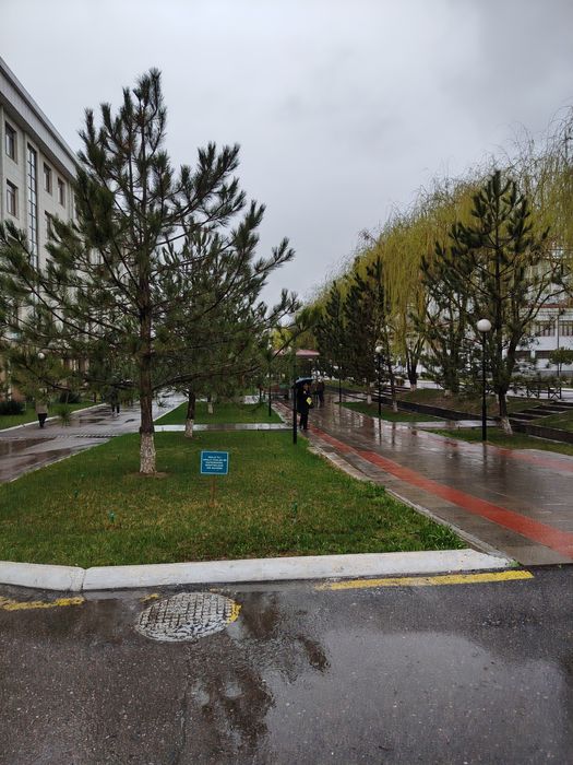 Online o'qitamiz, INGLIZ TILI!