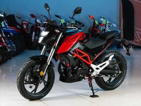 Мотоцикл TMBK Dukes Pro 250