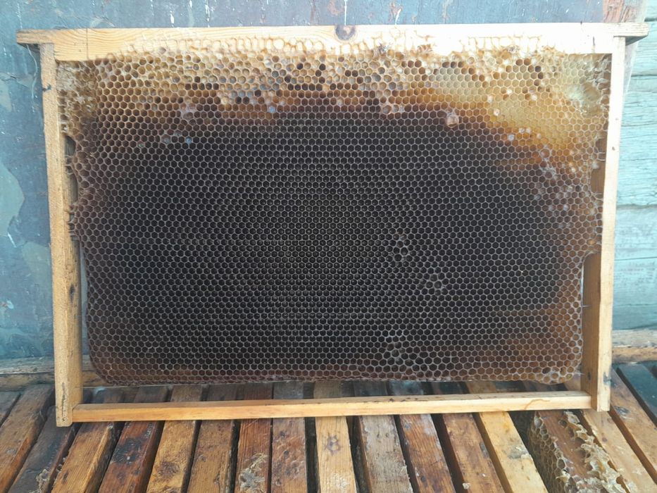 Продам ульи для пчел