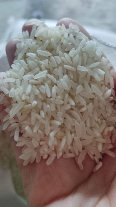 Рис Лазер для гарнира