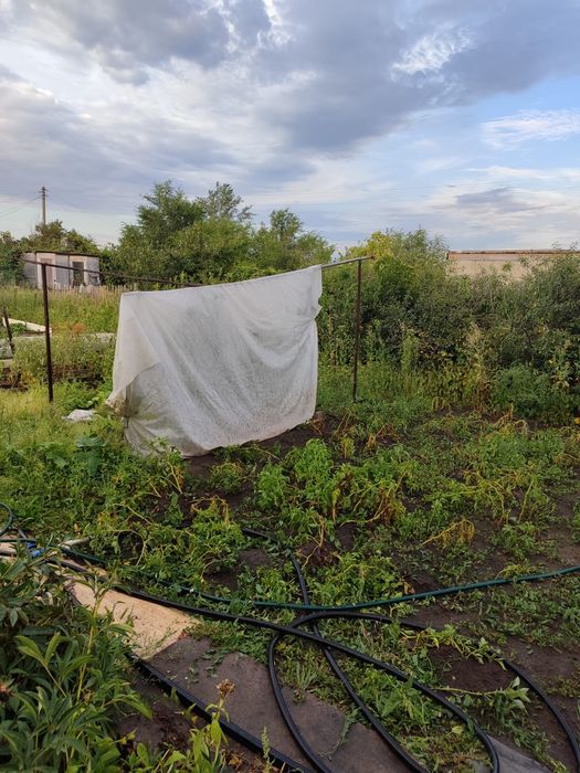 Продам дачу Садовод Колос