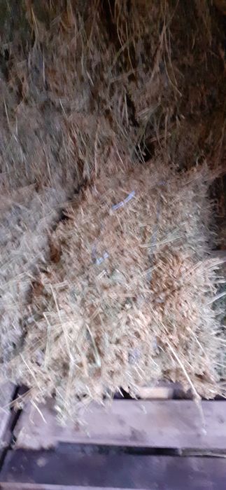 Baloți de lucernă de vînzare.