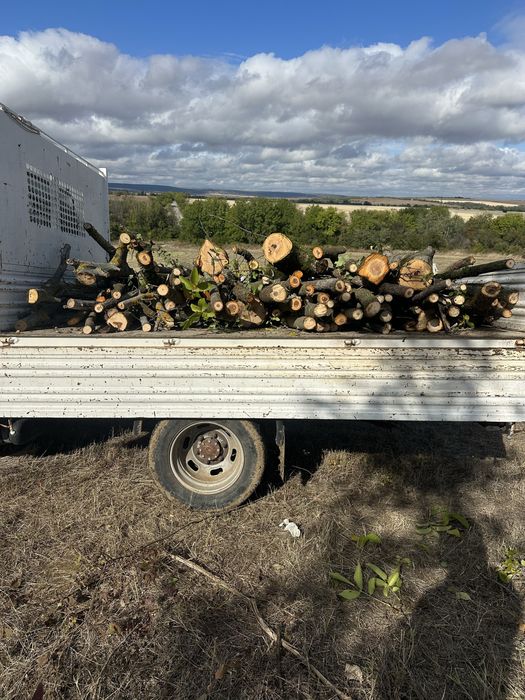 Дърва за огрев  от плодни дървета