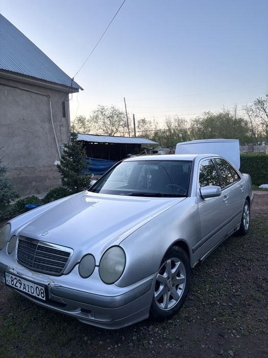 Продажа мерке жабмылски
