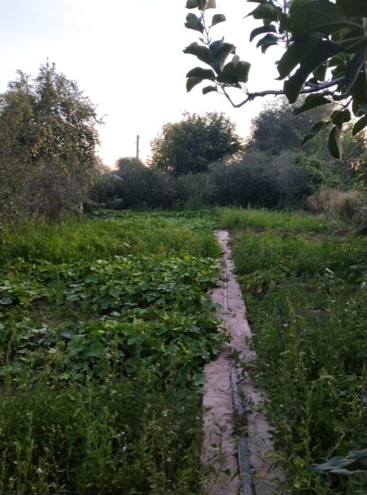 Продам дачу в азф 4